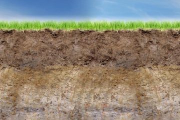 Soil Database system Sierra Leone