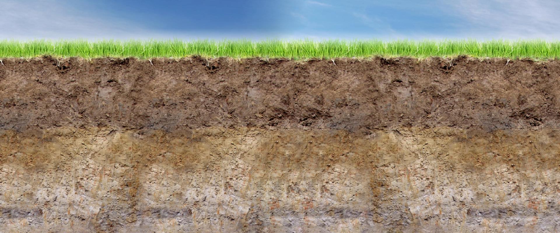 Soil Database system Sierra Leone